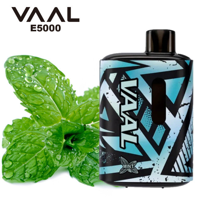 Disposable electronic cigarette Vaal Mint - 5000 puffs
